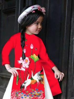 Áo dài cách tân - Vẻ đẹp tươi mới và phong cách của áo dài Việt Nam